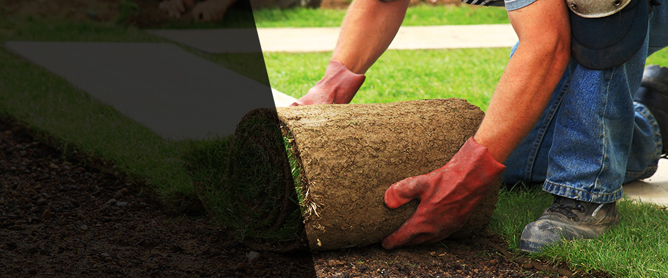 Brighton Landscapers
